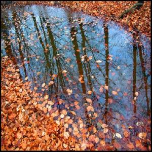 Copyright 2025 alain Ulmer