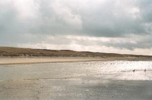 Copyright 2025 Gerard van den Berge
