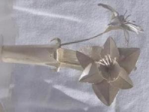 Copyright �2026 Astro Verde