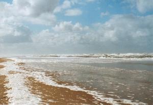 Copyright �2026 Gerard van den Berge