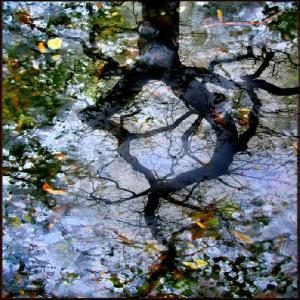 Copyright 2025 alain Ulmer