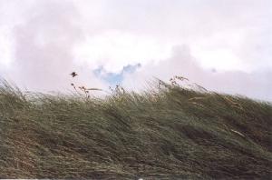 Copyright 2025 Gerard van den Berge