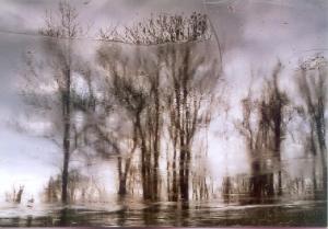 Copyright 2025 Gerard van den Berge
