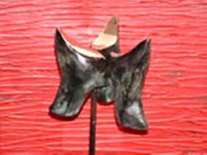 Copyright 2023 Rosita de Vree