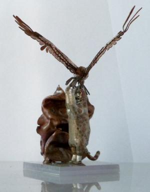 Copyright �2026 Astro Verde